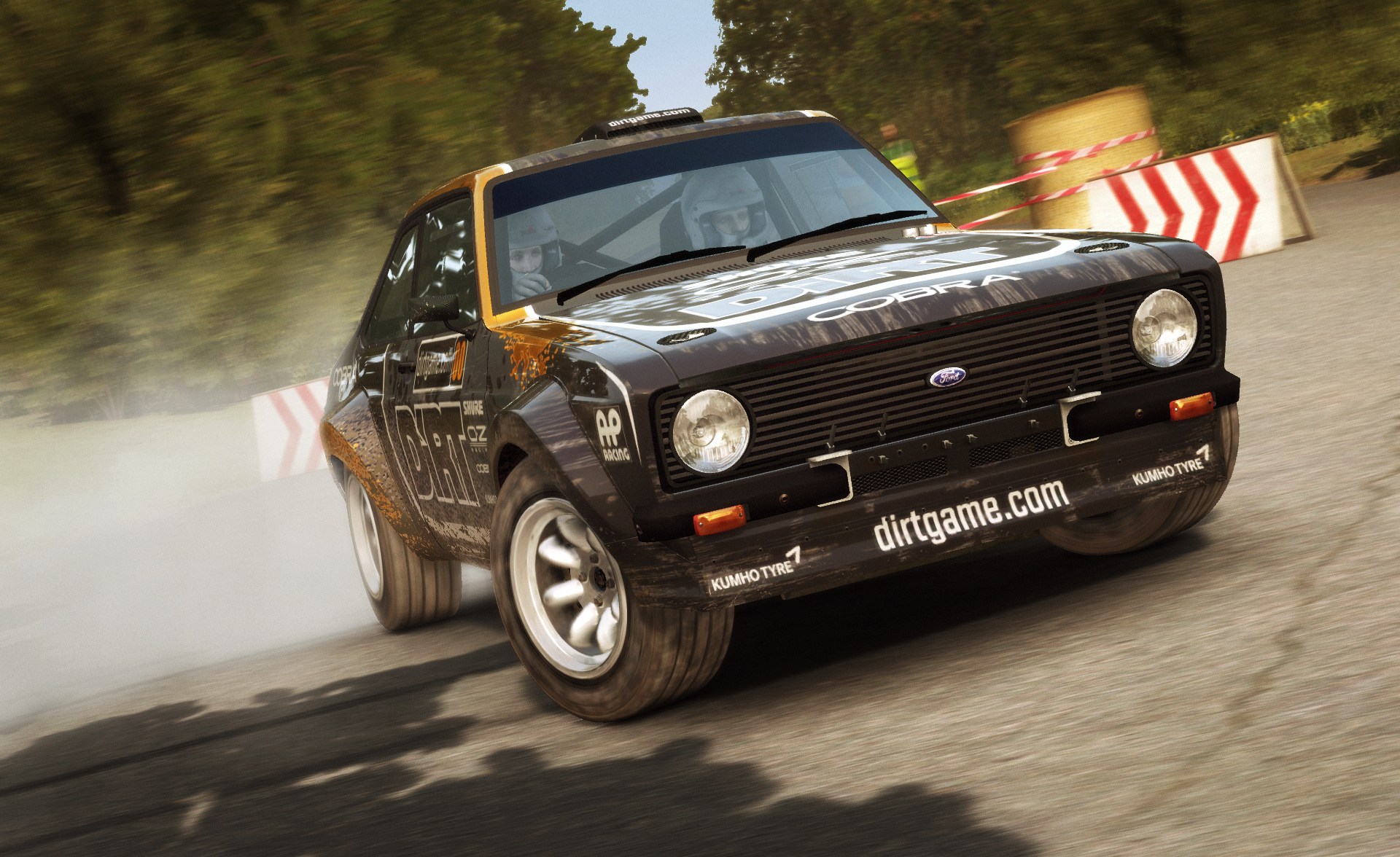 DiRT Rally - Imagen 18